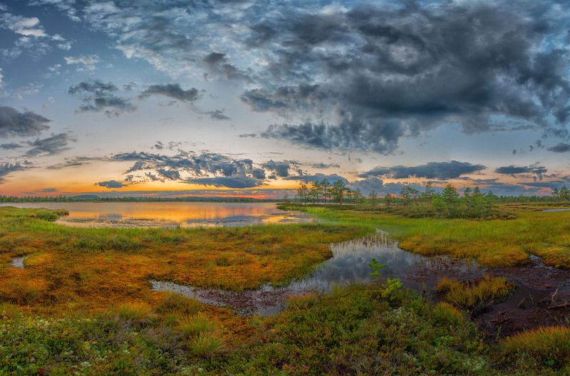 Предрассветноеphoto preview