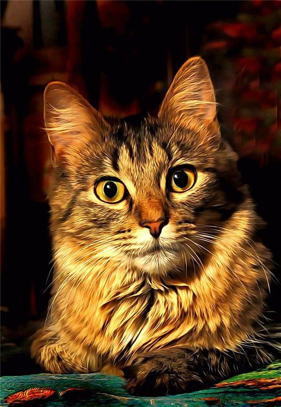 Мусикаphoto preview