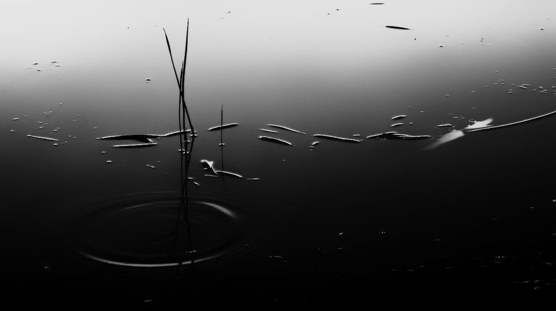 отражения Отражения..photo preview