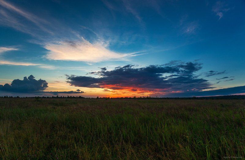sunset, landscape, sky, nature, russia, закат, пейзаж, трава, небо, вечер, россия Sunsetphoto preview