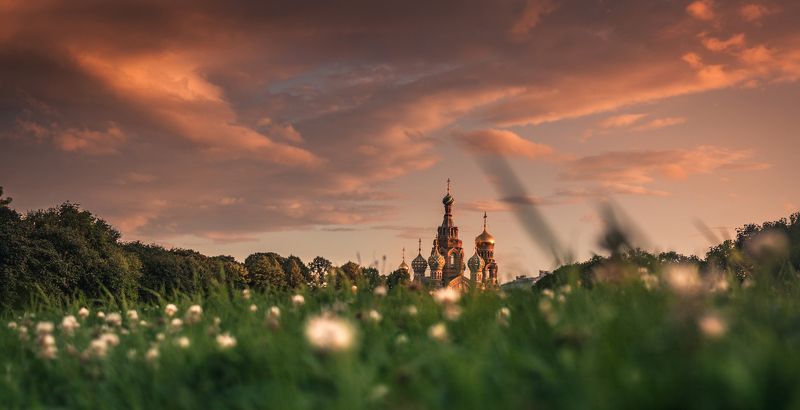 Mars fieldphoto preview