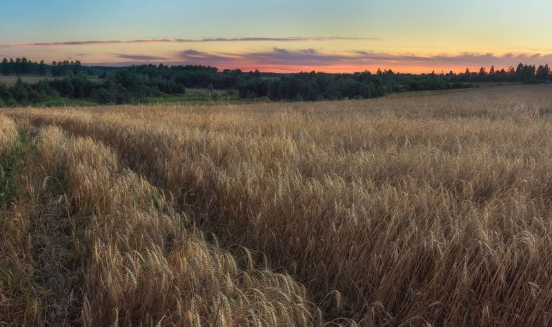 Во полеphoto preview