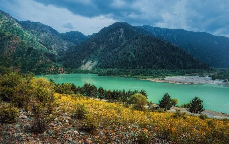 Есыкphoto preview