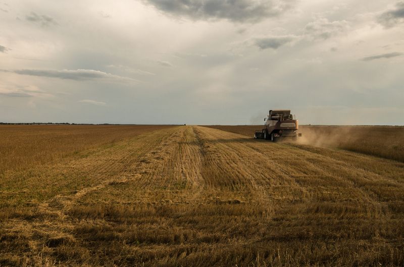 лето,небо,поле Уборка урожаяphoto preview