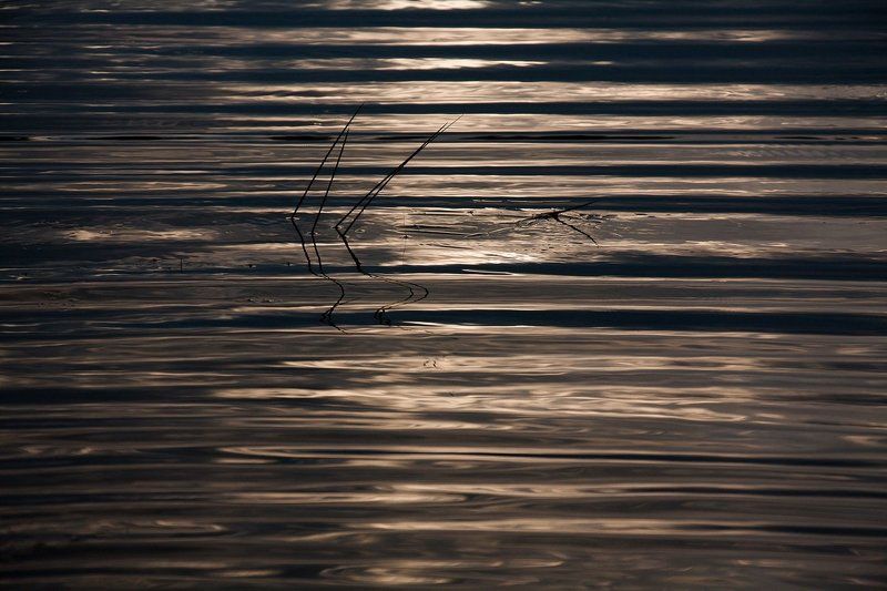 отражения, свет, вода, река Отражения. (2)photo preview