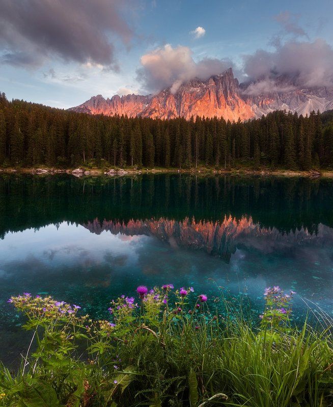 карезза, carezza, alps, альпы Озеро Кареззаphoto preview