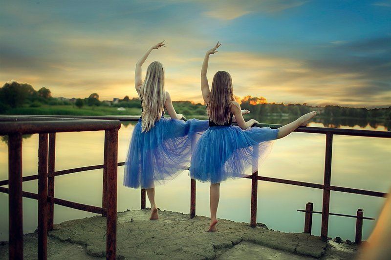 Лебедиphoto preview