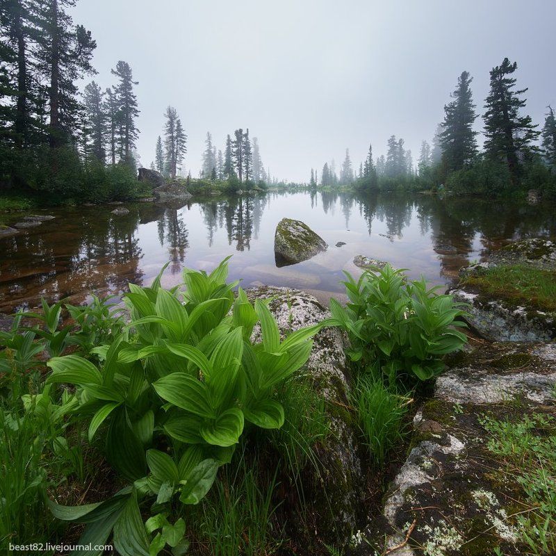 Ергаки ***photo preview