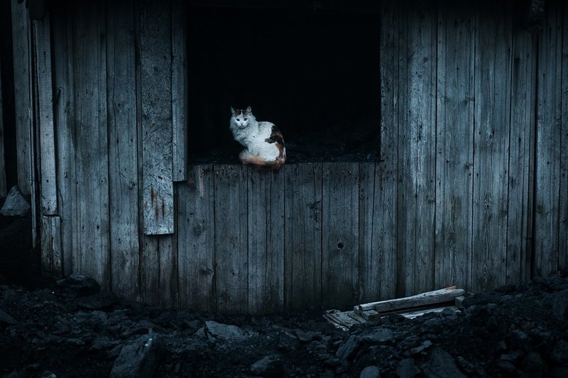 Хозяин угляphoto preview