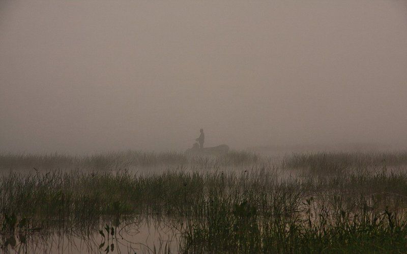 утро, вода, река, туман Утро туманное...photo preview