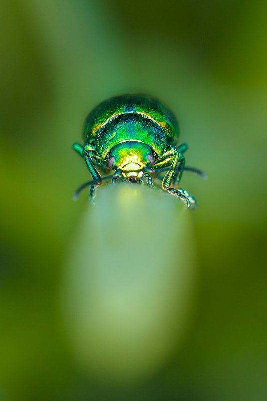 Go awayphoto preview