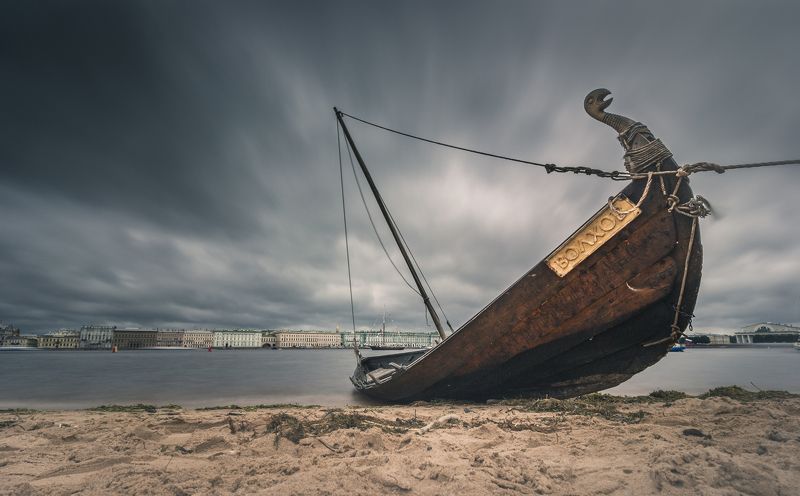 They are back !photo preview