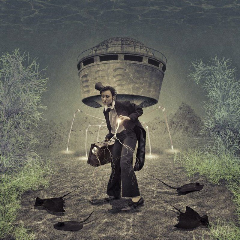 Питомцыphoto preview