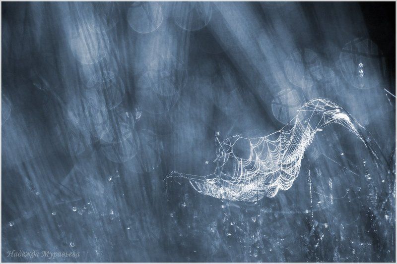 Ветра, Ждут, Паруса, Попутного Порвали парусphoto preview