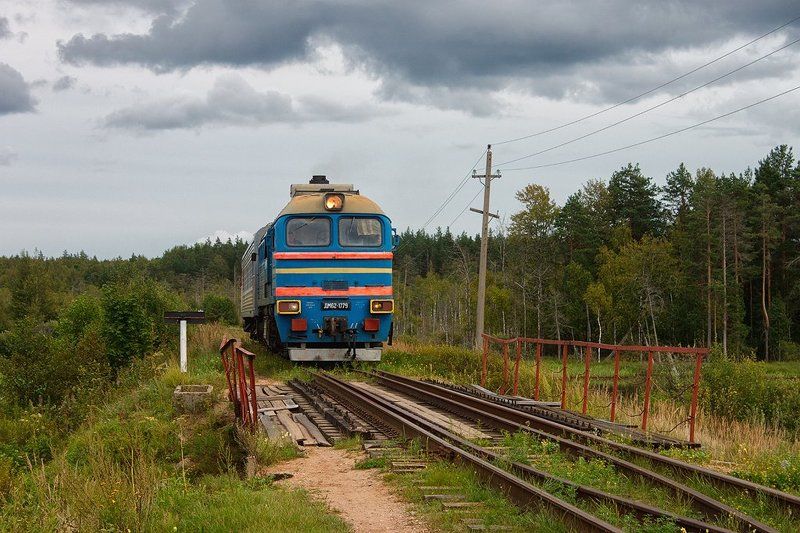 поезд, железная дорога, орлинка, соблаго, пено, тверская область, жукопа, м62, дм62, дм62-1779, тепловоз, лес, лето, природа, пейзаж Летняя снежинкаphoto preview
