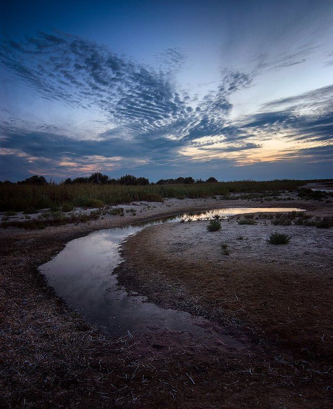 Небесная птахаphoto preview