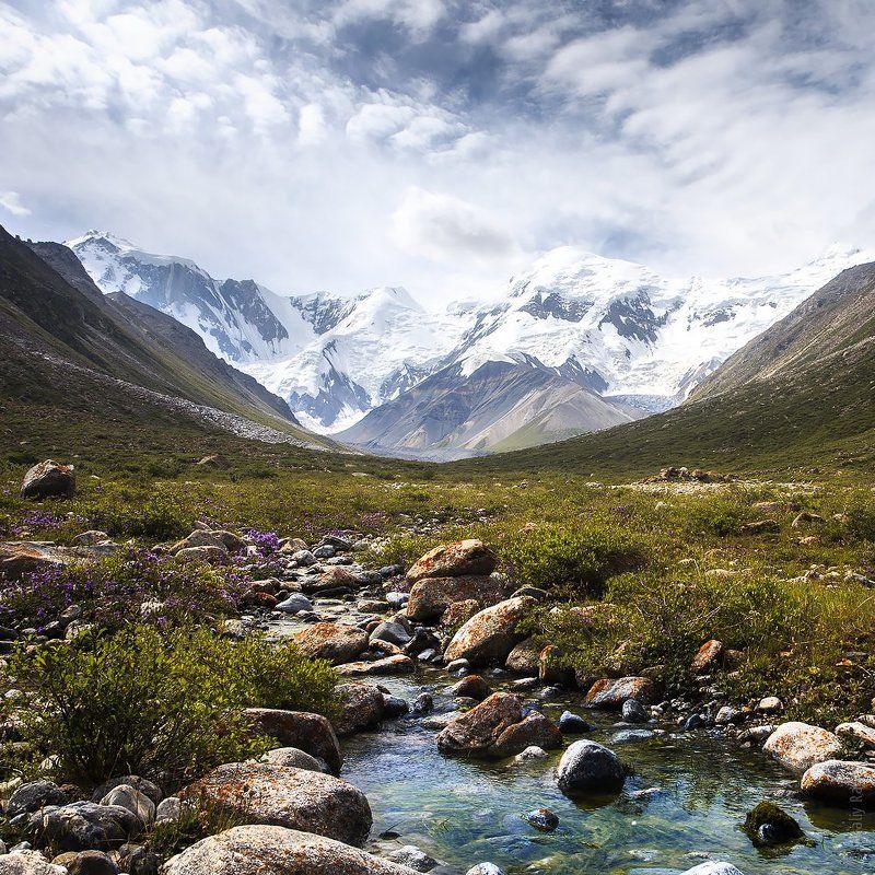 горы, казахстан Центральный Тянь-Шаньphoto preview