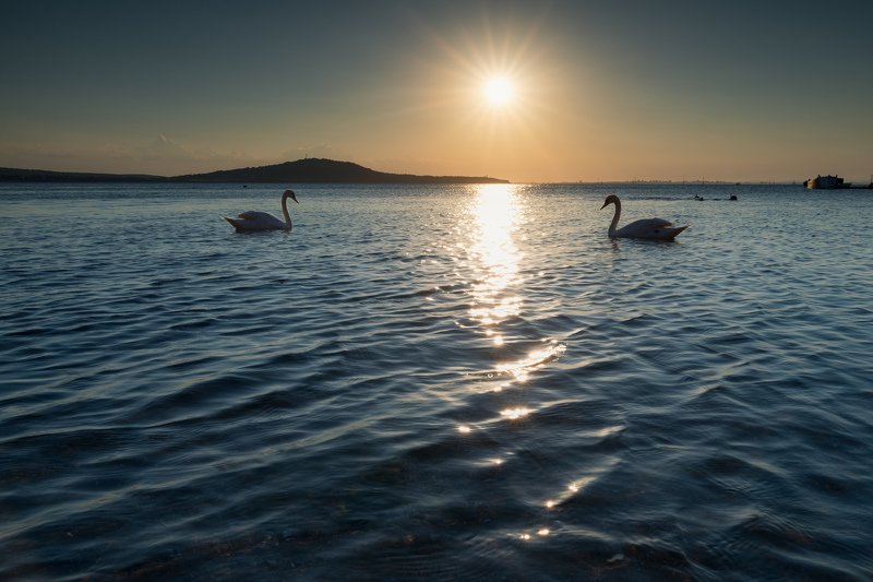 Beach, Beautiful, Boat, Clouds, Island, Pier, Seascape, Sky, Summer, Sun, Sun beams, Sun rays, Sunlight, Sunset, Swan, Water, Waves Закат для двоихphoto preview