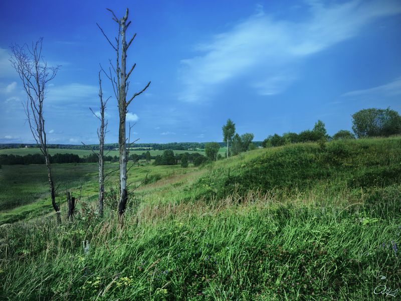 Перед грозойphoto preview