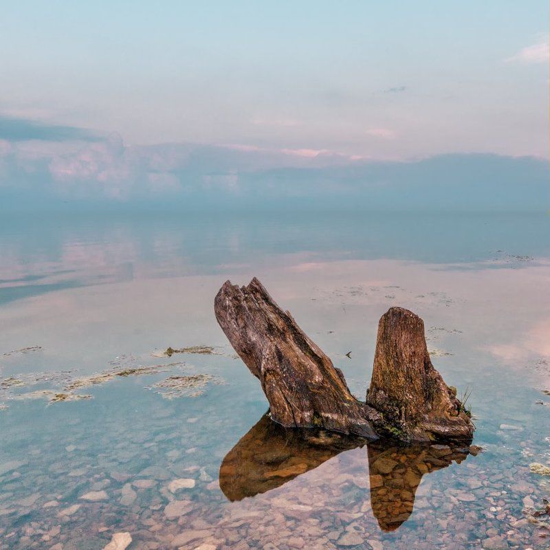 коряга озеро закат ***photo preview