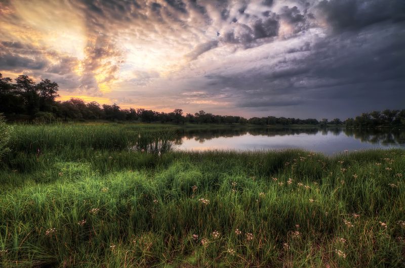 #blue, #green, #morning, #russia, #sky, #sun Раннее утроphoto preview