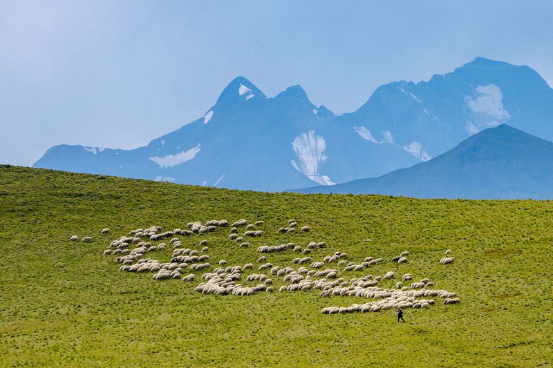 Профессия интроверта photo preview