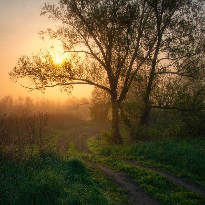 Восходphoto preview