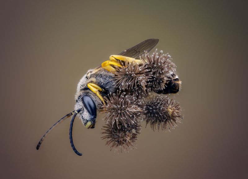 На вершинеphoto preview