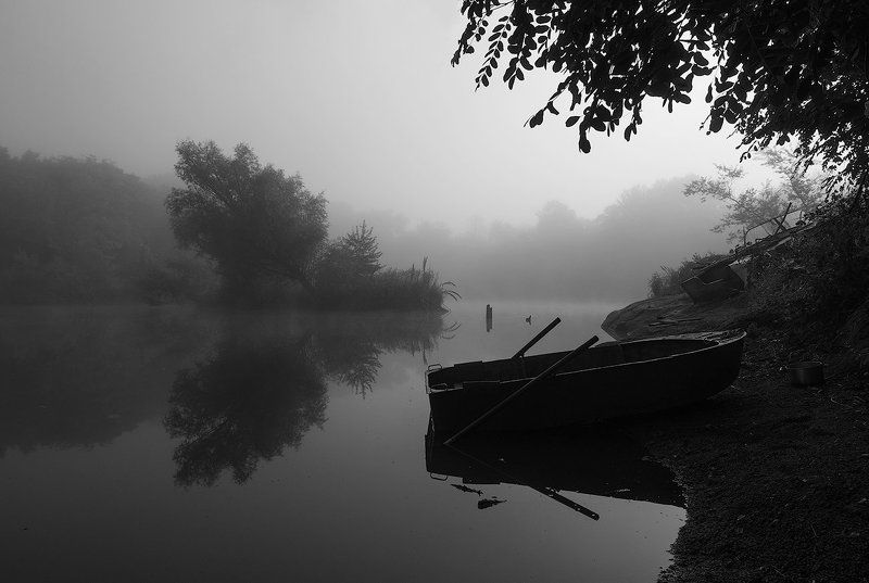 Quiet momentphoto preview