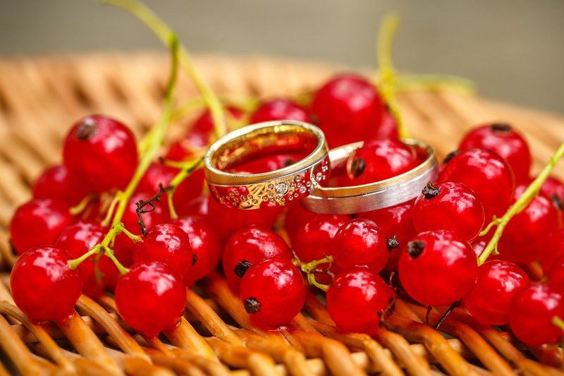 свадебная прогулка, свадьба, жених, невеста, любовь, love story, кольца, mdmmikle, Латвия, Рига Свадебные кольцаphoto preview