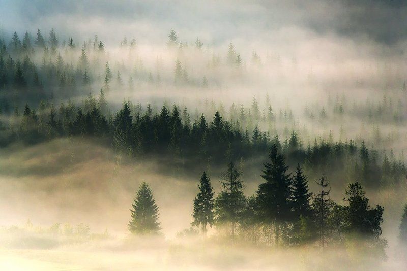 The Misty Dreams...photo preview