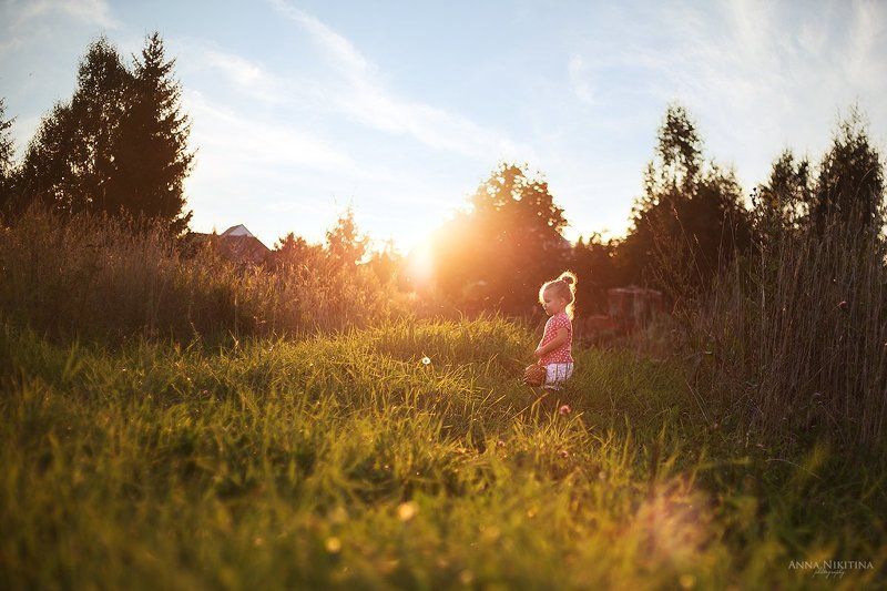 Два одуванчика)photo preview