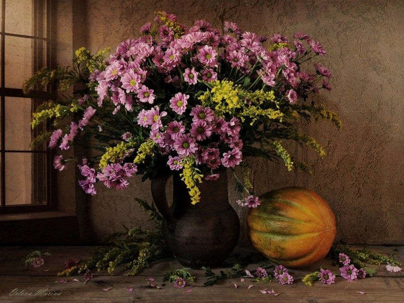 Августphoto preview