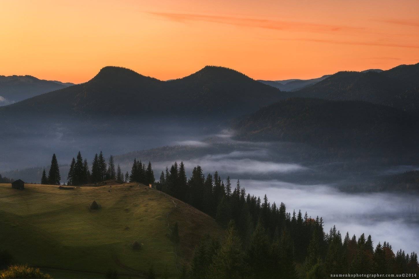 Карпаты. Дземброня. Панорама с полонины Степанский. Автор: Александр Науменко европа, украина, карпаты, дземброня, осень, пейзаж, солнце, рассвет, путешествия, туман, горы, лес, красивый, горы, дерево, природа, фон, декорации, сезон, осень, небо, красный, цвет, вид, окружающий, среда, утро, натуральный, дерево, сельский, сцена, кра, Александр Науменко