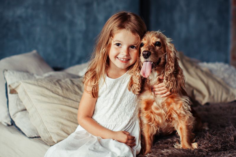 Мой рыжий другphoto preview