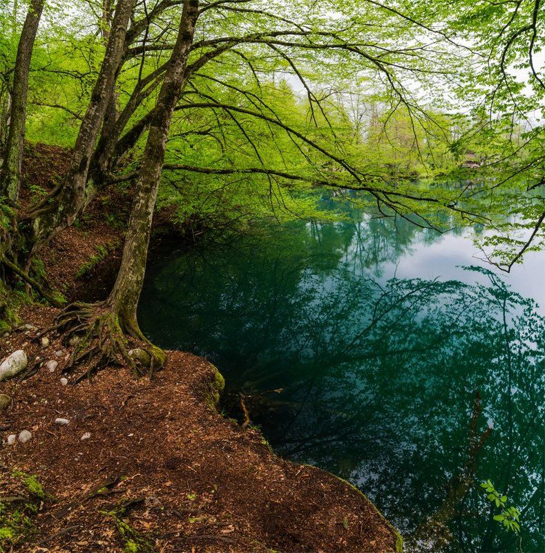 берег, весна, озеро, пейзаж, природа photo preview