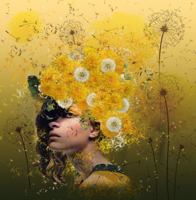Девушка, Жёлтые цветы, Одуванчики Dandelionsphoto preview