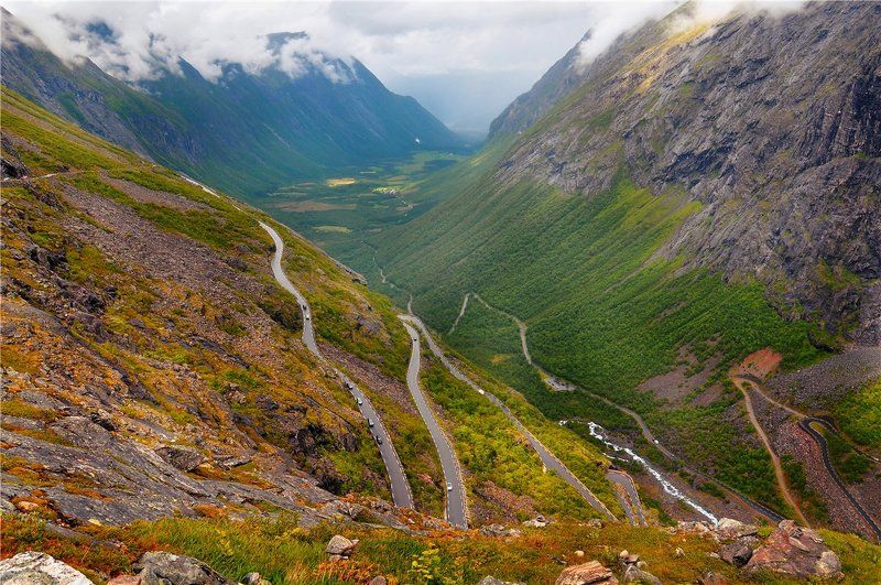 Дорогой троллейphoto preview