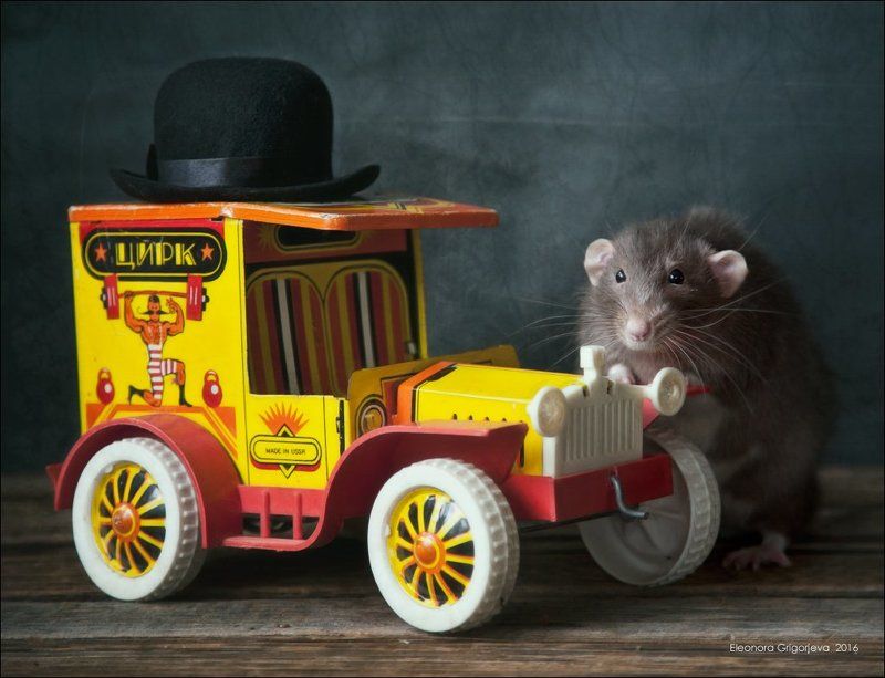 Made in USSR, Rats\'n\'Cats, Крыса дамбо, Крысиные истории, Машинка-игрушка, Ретро-автомобиль Прокачу с ветерком!photo preview