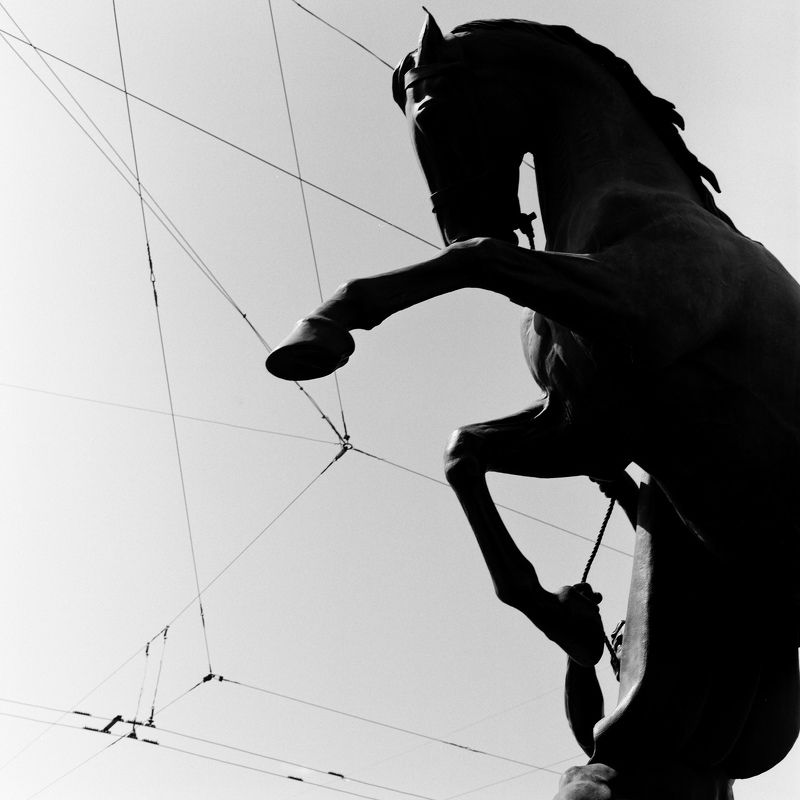 bw, black_and_white, film, 6x6, mediumformat, d76, blackandwhite, monochrome     ***photo preview