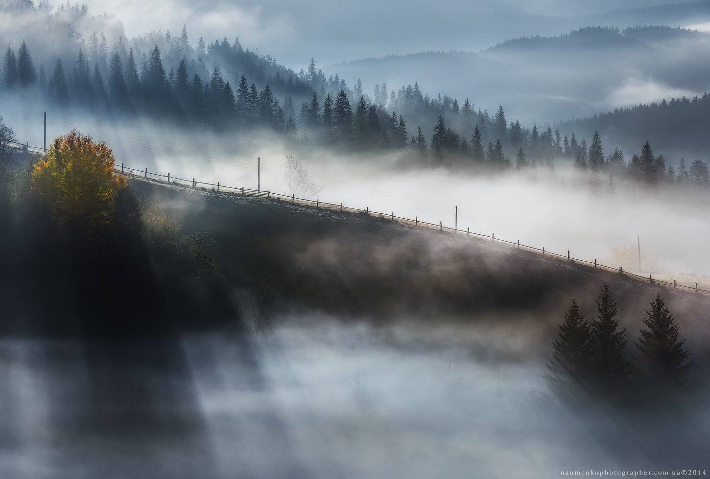 Карпаты. Дземброня. Осенний туман.. Автор: Александр Науменко европа, украина, карпаты, дземброня, осень, пейзаж, солнце, рассвет, путешествия, туман, горы, лес, красивый, горы, дерево, природа, фон, декорации, сезон, осень, небо, красный, цвет, вид, окружающий, среда, утро, натуральный, дерево, сельский, сцена, кра, Александр Науменко