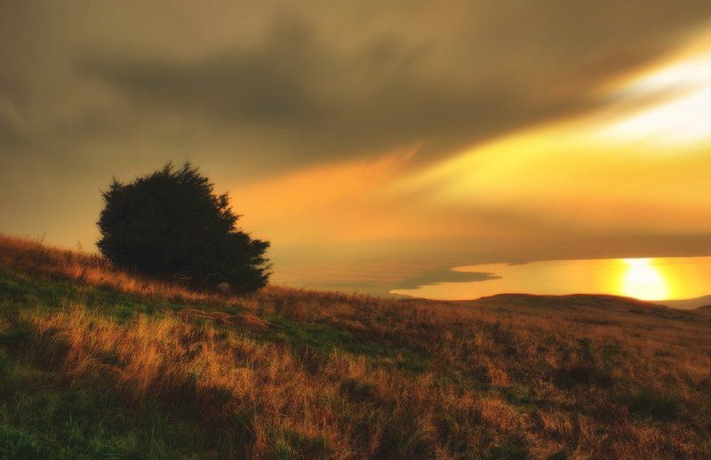 *** фото превью