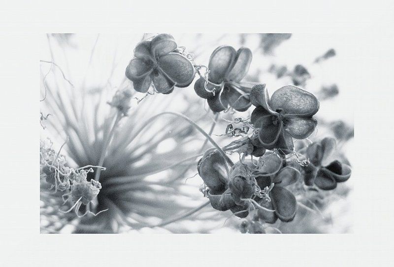 ......froid......photo preview