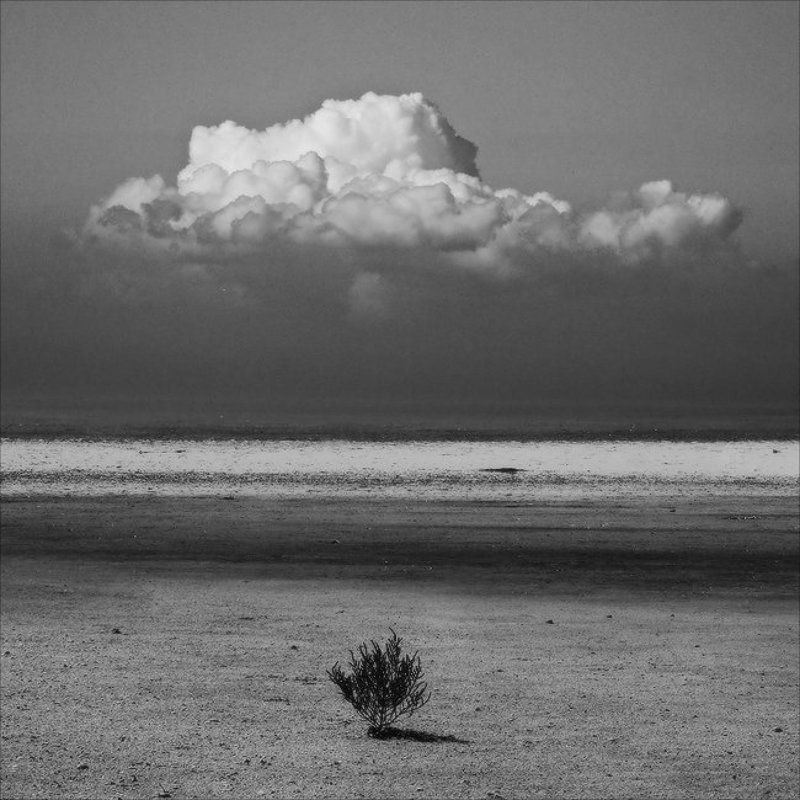 House Of The Rising Sunphoto preview