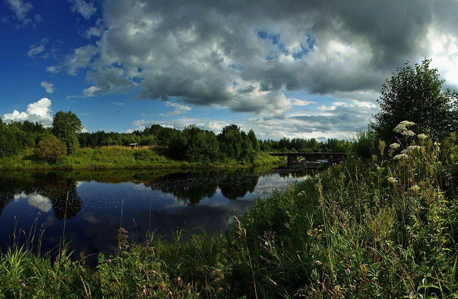 о тихом нраве, в Новинках. Автор: Roman Goryachiy лето,река,кема,панорама, Roman Goryachiy