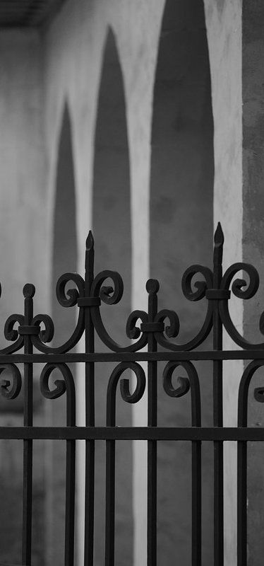 забор про забор-2photo preview