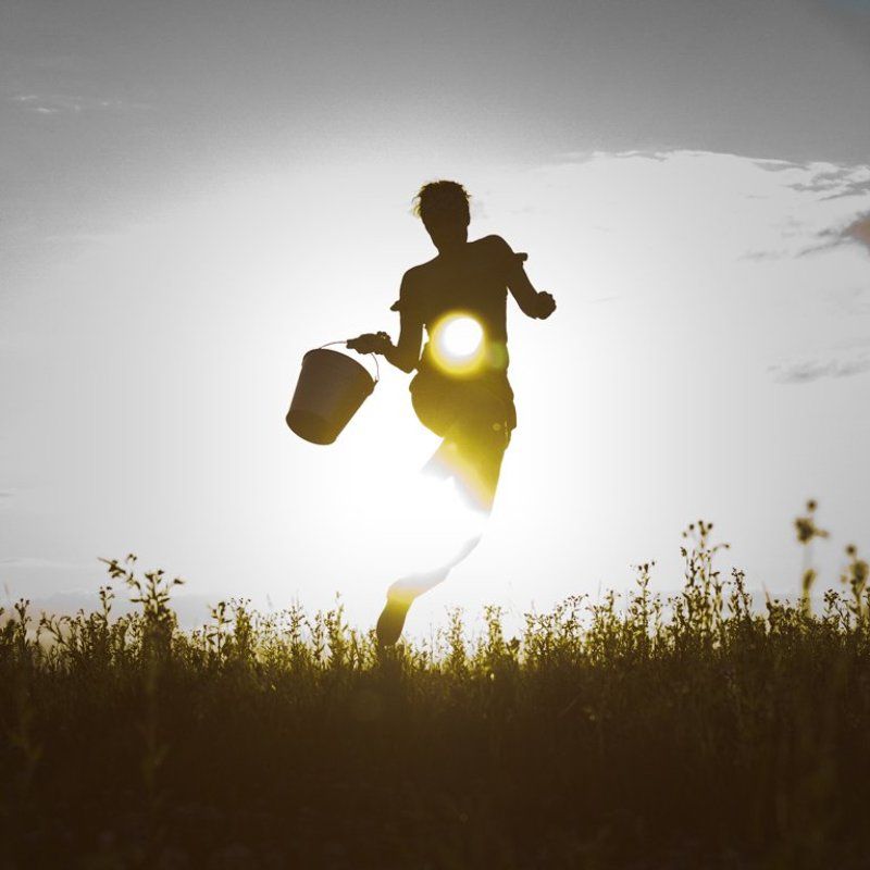 hunter of the sunphoto preview