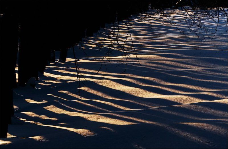 ритмphoto preview