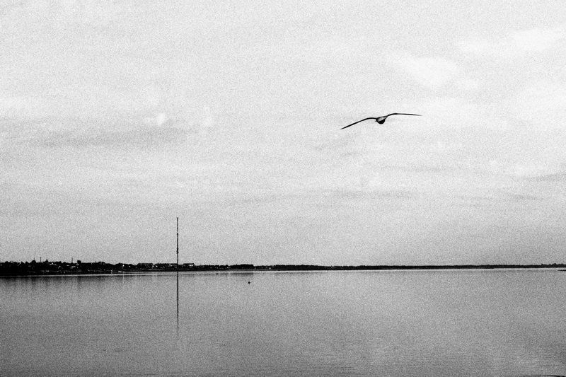 minimalphoto preview