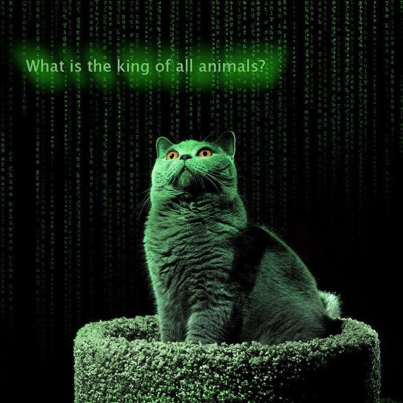 What is the king of all animals?photo preview